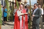 Gran participación en el Domingo de Ramos