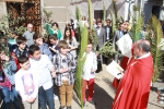 Gran participación en el Domingo de Ramos