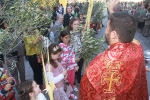 Concurrido Domingo de Ramos en La Vilavella