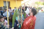 Concurrido Domingo de Ramos en La Vilavella