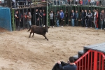 Comienzan las Fiestas Patronales de Sant Vicent Ferrer de la Vall d'Uixó