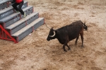 Comienzan las Fiestas Patronales de Sant Vicent Ferrer de la Vall d'Uixó