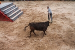 Comienzan las Fiestas Patronales de Sant Vicent Ferrer de la Vall d'Uixó