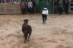 Comienzan las Fiestas Patronales de Sant Vicent Ferrer de la Vall d'Uixó