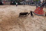 Comienzan las Fiestas Patronales de Sant Vicent Ferrer de la Vall d'Uixó