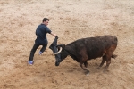 Comienzan las Fiestas Patronales de Sant Vicent Ferrer de la Vall d'Uixó