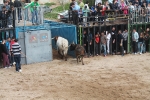 Comienzan las Fiestas Patronales de Sant Vicent Ferrer de la Vall d'Uixó