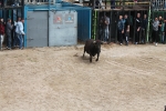 Comienzan las Fiestas Patronales de Sant Vicent Ferrer de la Vall d'Uixó