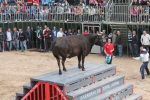 Comienzan las Fiestas Patronales de Sant Vicent Ferrer de la Vall d'Uixó