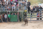 Comienzan las Fiestas Patronales de Sant Vicent Ferrer de la Vall d'Uixó
