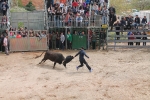 Comienzan las Fiestas Patronales de Sant Vicent Ferrer de la Vall d'Uixó