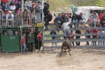 Comienzan las Fiestas Patronales de Sant Vicent Ferrer de la Vall d'Uixó