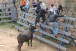Comienzan las Fiestas Patronales de Sant Vicent Ferrer de la Vall d'Uixó
