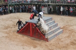 Comienzan las Fiestas Patronales de Sant Vicent Ferrer de la Vall d'Uixó
