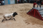 Comienzan las Fiestas Patronales de Sant Vicent Ferrer de la Vall d'Uixó