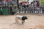 Comienzan las Fiestas Patronales de Sant Vicent Ferrer de la Vall d'Uixó