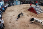 Comienzan las Fiestas Patronales de Sant Vicent Ferrer de la Vall d'Uixó