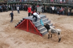 Comienzan las Fiestas Patronales de Sant Vicent Ferrer de la Vall d'Uixó