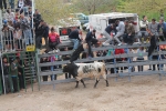 Comienzan las Fiestas Patronales de Sant Vicent Ferrer de la Vall d'Uixó