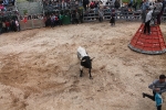 Comienzan las Fiestas Patronales de Sant Vicent Ferrer de la Vall d'Uixó