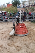 Comienzan las Fiestas Patronales de Sant Vicent Ferrer de la Vall d'Uixó