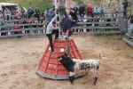Comienzan las Fiestas Patronales de Sant Vicent Ferrer de la Vall d'Uixó