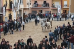 Toros de Miura y Algarra para abrir el cartel taurino de Sant Vicent de la Vall