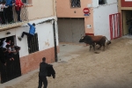 Toros de Miura y Algarra para abrir el cartel taurino de Sant Vicent de la Vall