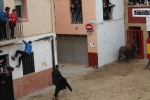 Toros de Miura y Algarra para abrir el cartel taurino de Sant Vicent de la Vall