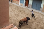 Toros de Miura y Algarra para abrir el cartel taurino de Sant Vicent de la Vall