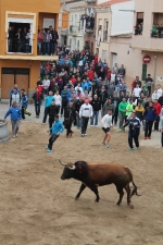 Toros de Miura y Algarra para abrir el cartel taurino de Sant Vicent de la Vall