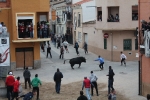 Toros de Miura y Algarra para abrir el cartel taurino de Sant Vicent de la Vall