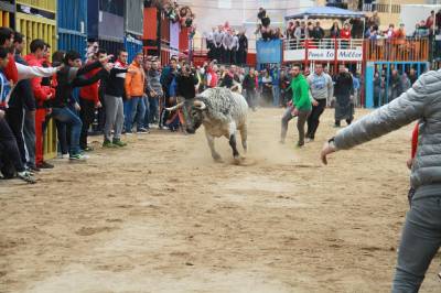 Fotografia /Galeria/2015/4/123662_67451/2_M1.jpg