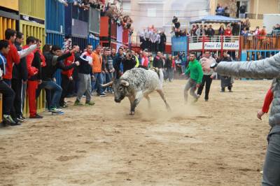 Fotografia /Galeria/2015/4/123662_67451/3_M1.jpg