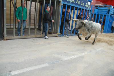 Fotografia /Galeria/2015/4/123662_67451/6_M1.jpg