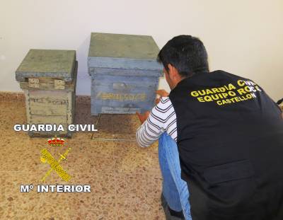 La Guardia Civil detiene a una persona por la sustraccin de colmenas en LAlcora