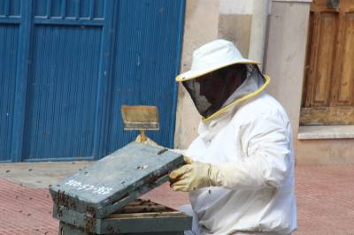 Fotografia /Galeria/2015/5/124863_68224/5_M1.jpg