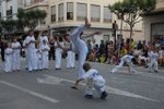 Los mosquitos y las inundaciones, protagonistas de la cavalcada