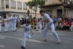 Los mosquitos y las inundaciones, protagonistas de la cavalcada