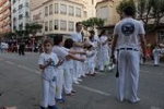 Los mosquitos y las inundaciones, protagonistas de la cavalcada