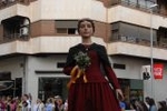 Los mosquitos y las inundaciones, protagonistas de la cavalcada