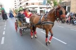 Los mosquitos y las inundaciones, protagonistas de la cavalcada
