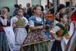Los mosquitos y las inundaciones, protagonistas de la cavalcada