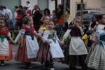 Los mosquitos y las inundaciones, protagonistas de la cavalcada
