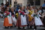 Los mosquitos y las inundaciones, protagonistas de la cavalcada