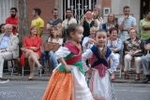 Los mosquitos y las inundaciones, protagonistas de la cavalcada