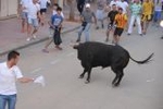 Las exhibiciones taurinas se saldan con dos heridos por asta de toro