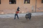 Las exhibiciones taurinas se saldan con dos heridos por asta de toro