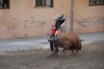 Las exhibiciones taurinas se saldan con dos heridos por asta de toro