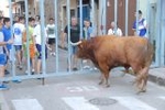 Las exhibiciones taurinas se saldan con dos heridos por asta de toro